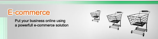 FirmsHosting E-commerce