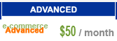 Web hosting business
