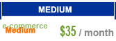 Web hosting business