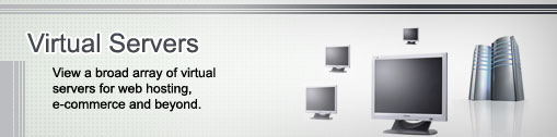 FirmsHosting Virtual Servers